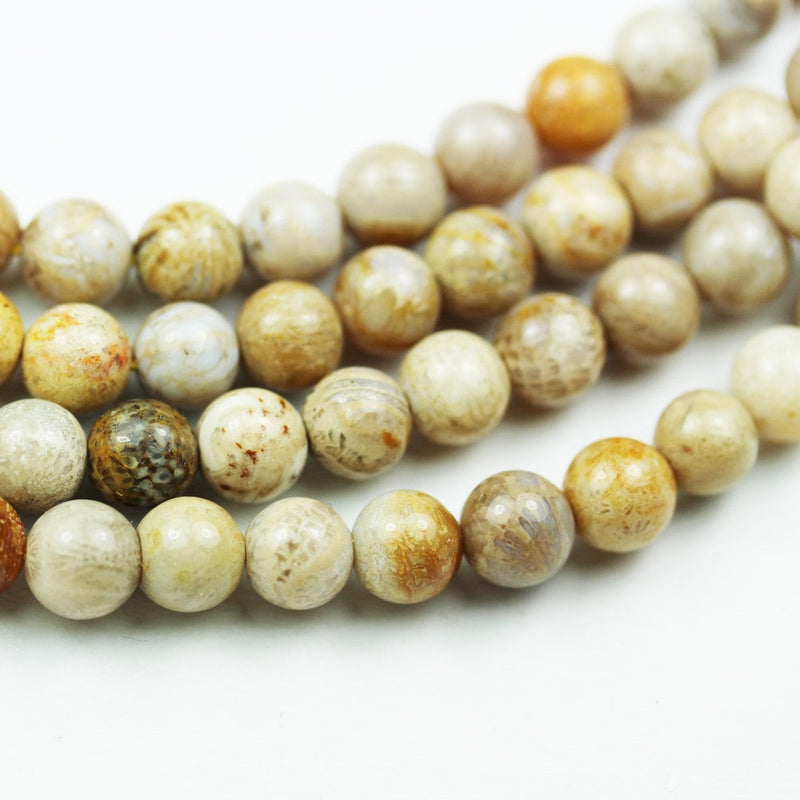 Fossil, 6mm Natural Beads Gemstone Strand, One full strand 15.5inch, 0.6mm hole