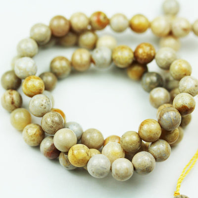 Fossil, 6mm Natural Beads Gemstone Strand, One full strand 15.5inch, 0.6mm hole