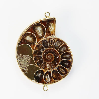 2pcs Ammonite Fossil, 40*50mm Genuine Gemstone Pendant, Gold Plated Edge with Double Ring Pendant