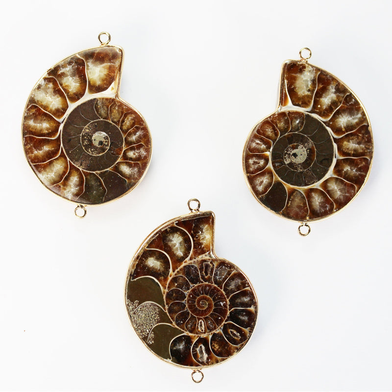 2pcs Ammonite Fossil, 40*50mm Genuine Gemstone Pendant, Gold Plated Edge with Double Ring Pendant