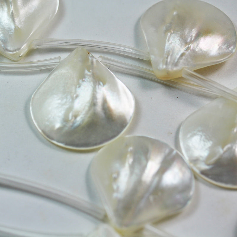 Natural Shell beads, 25mm Top Drilled Fan Shape Strand,15.5 inch, about 10 beads , 1mm hole