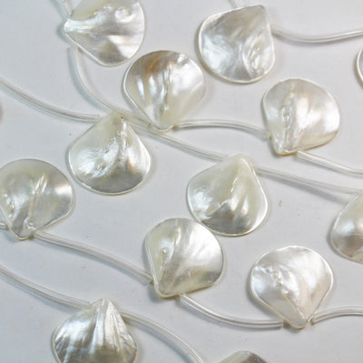 Natural Shell beads, 25mm Top Drilled Fan Shape Strand,15.5 inch, about 10 beads , 1mm hole