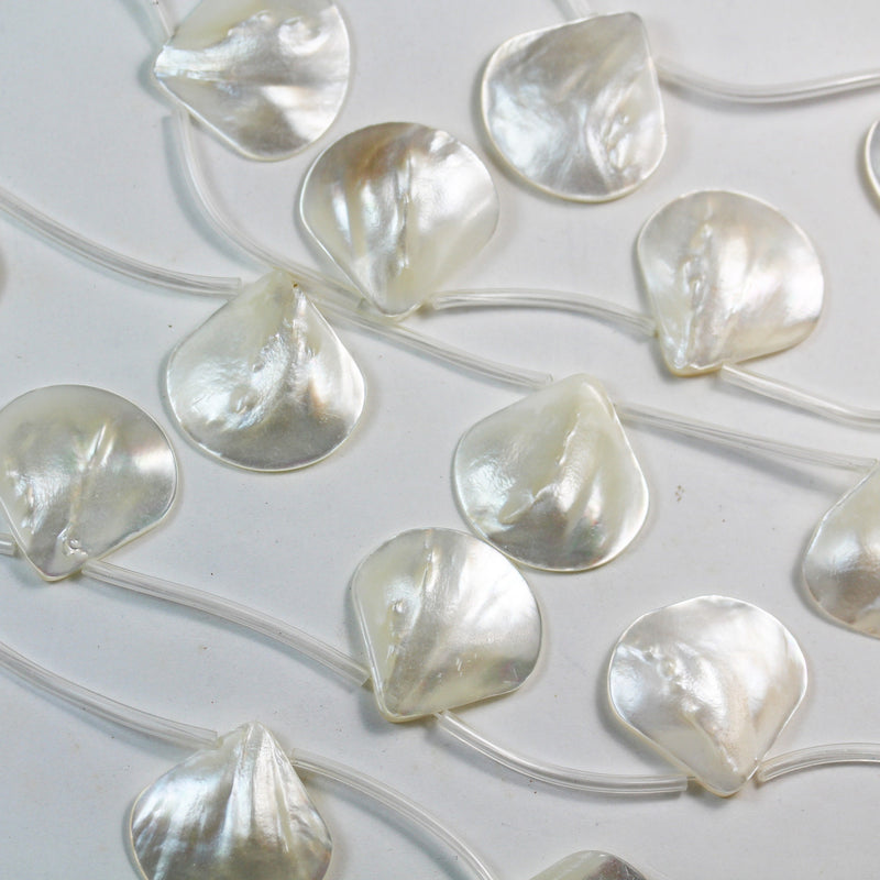 Natural Shell beads, 25mm Top Drilled Fan Shape Strand,15.5 inch, about 10 beads , 1mm hole