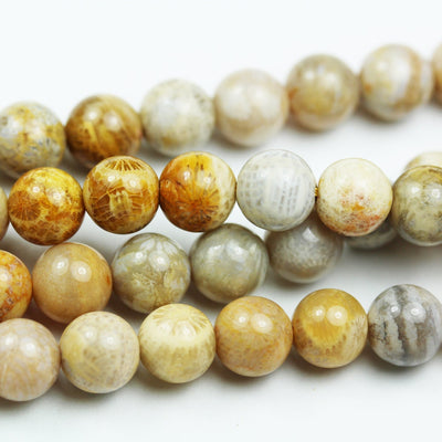 Fossil,   8mm Natural  Beads Gemstone Strand, One full strand,1mm hole,  15.5 inch