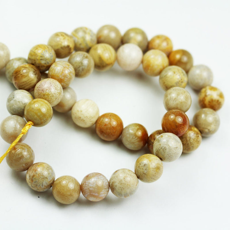 Fossil,   8mm Natural  Beads Gemstone Strand, One full strand,1mm hole,  15.5 inch